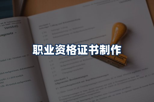 职业资格展示